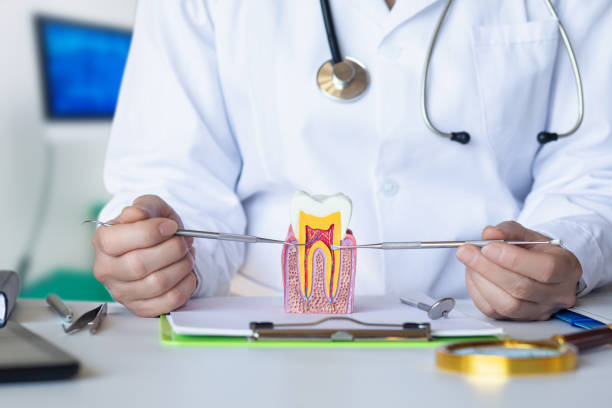 Best Emergency Dentist for Knocked-Out Tooth in Polk City, IA
